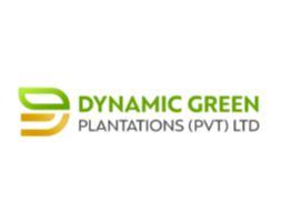 Dynamic Green Plantations